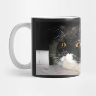 Cat Study Mug